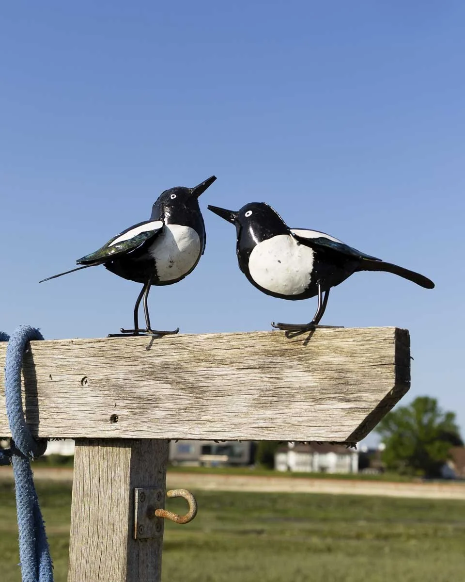 close up of pair of magpies black and white garden ornaments positioned on a signpost