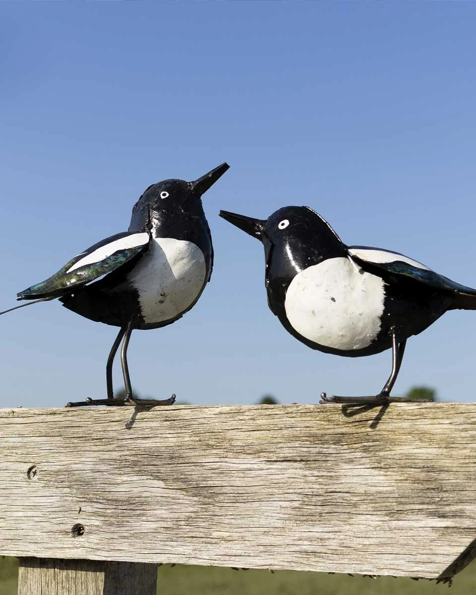 close up of pair of magpies black and white garden ornaments positioned on a signpost