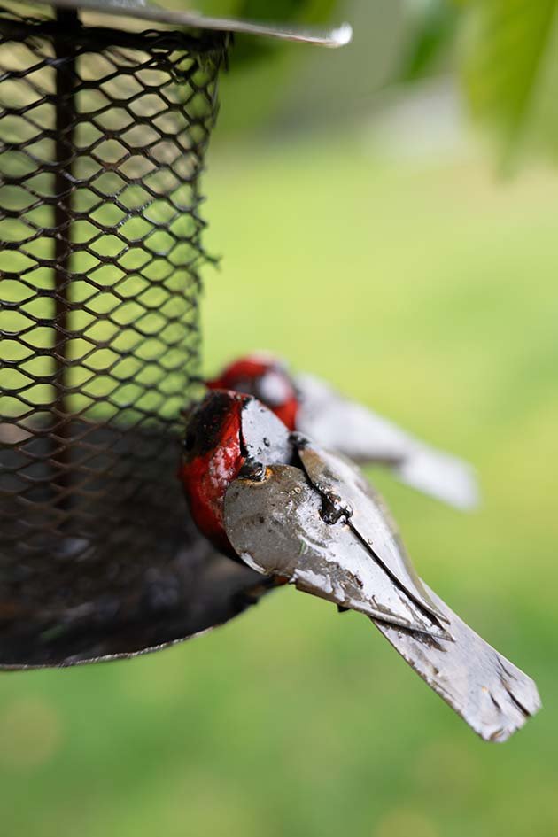Recycled metal bird feeder garden ornament