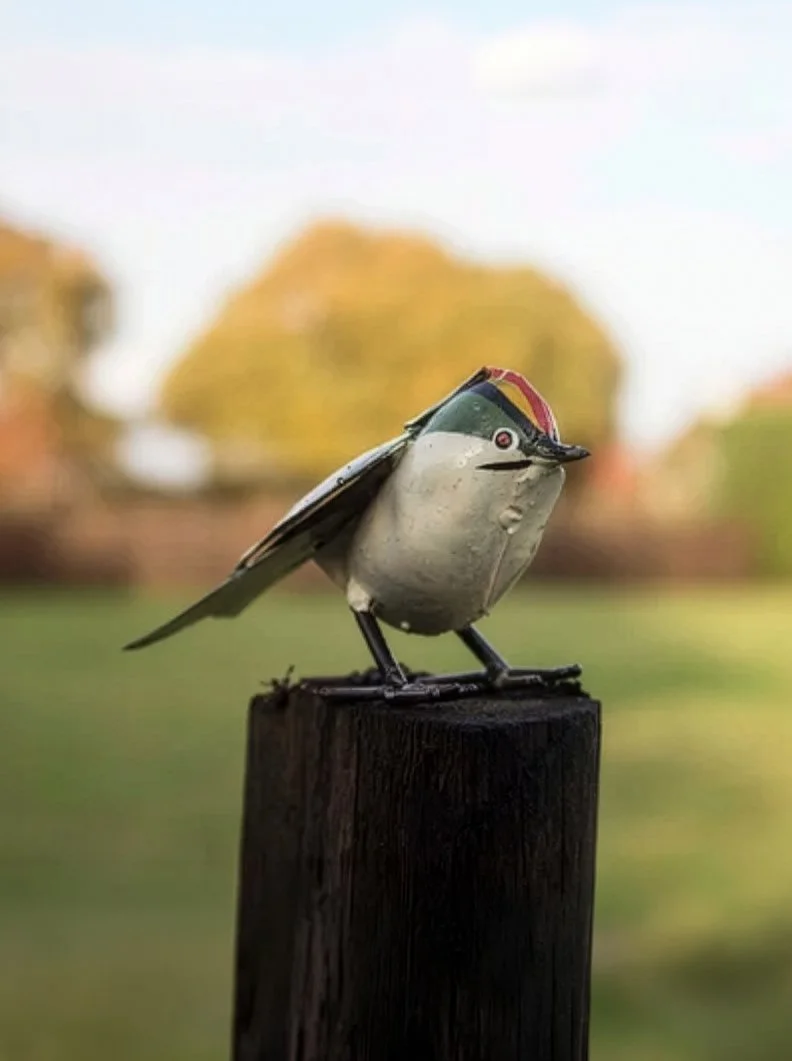Goldcrest