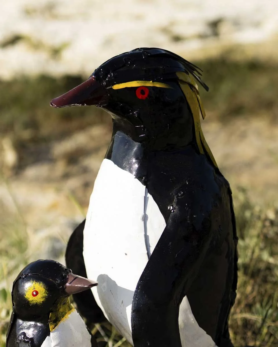 rockhopperpenguinpair_LR3.jpg