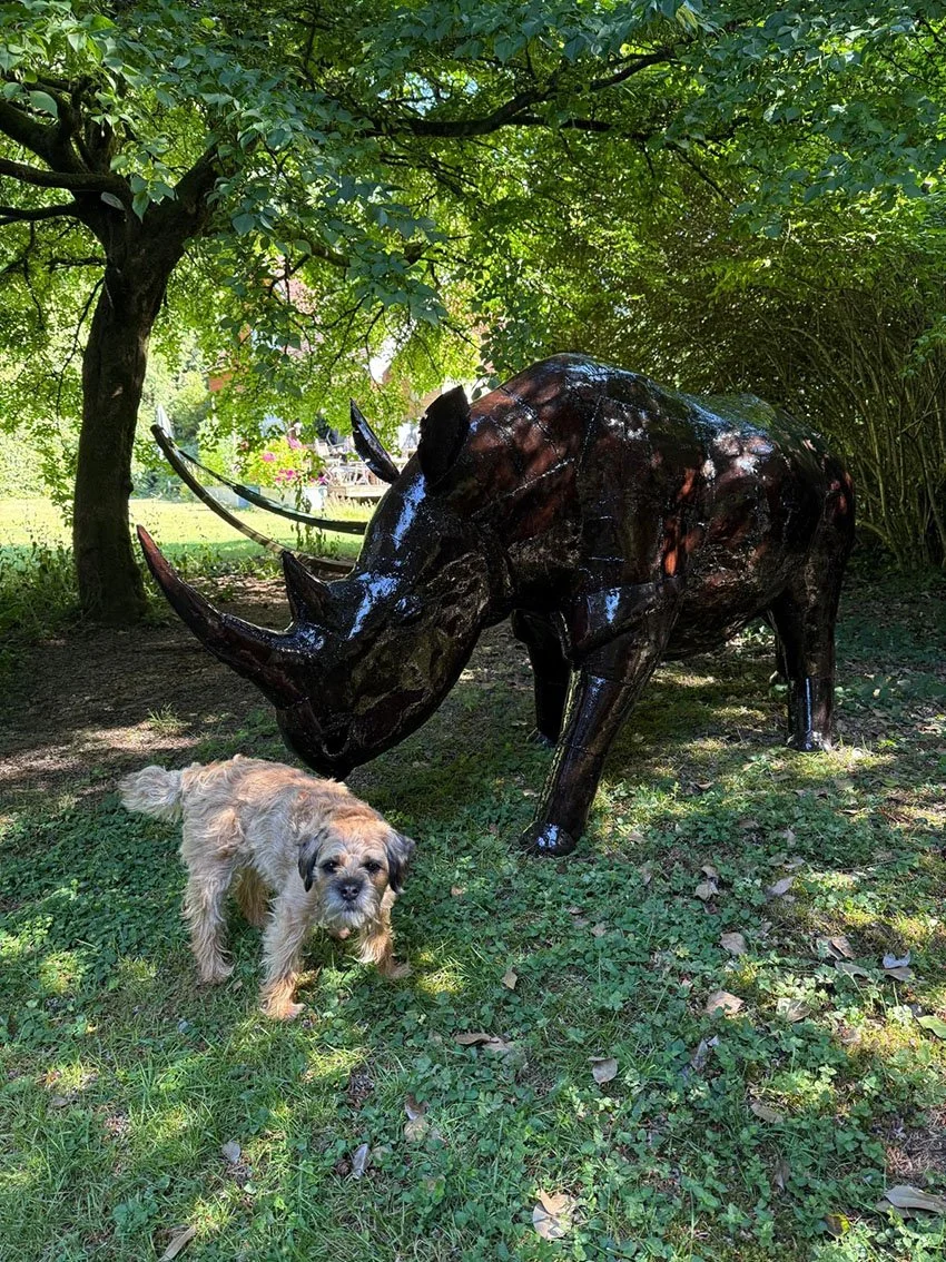A small dog standing on grass in front of a large, dark, shiny rhinoceros sculpture outdoors under a tree.