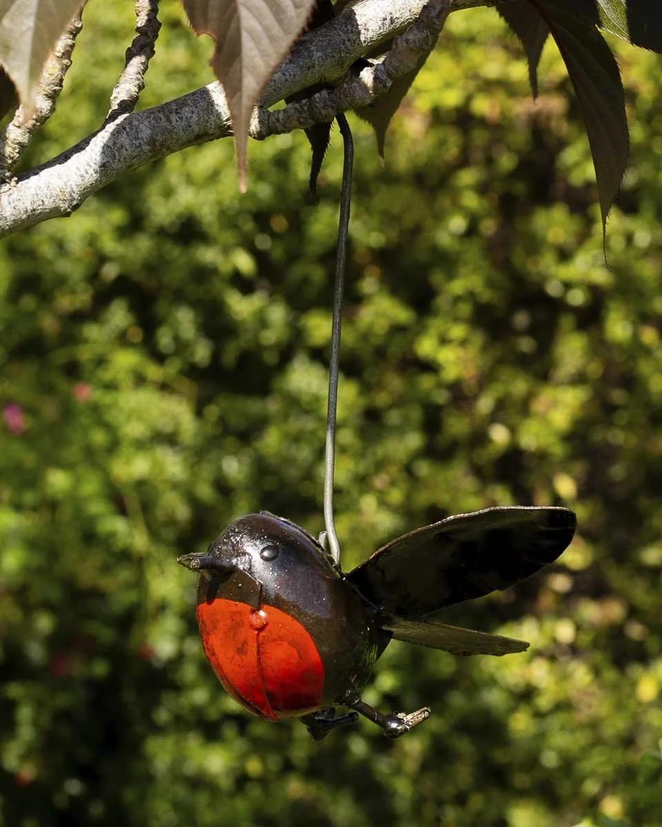 hangingflyingrobin_LR1.jpg