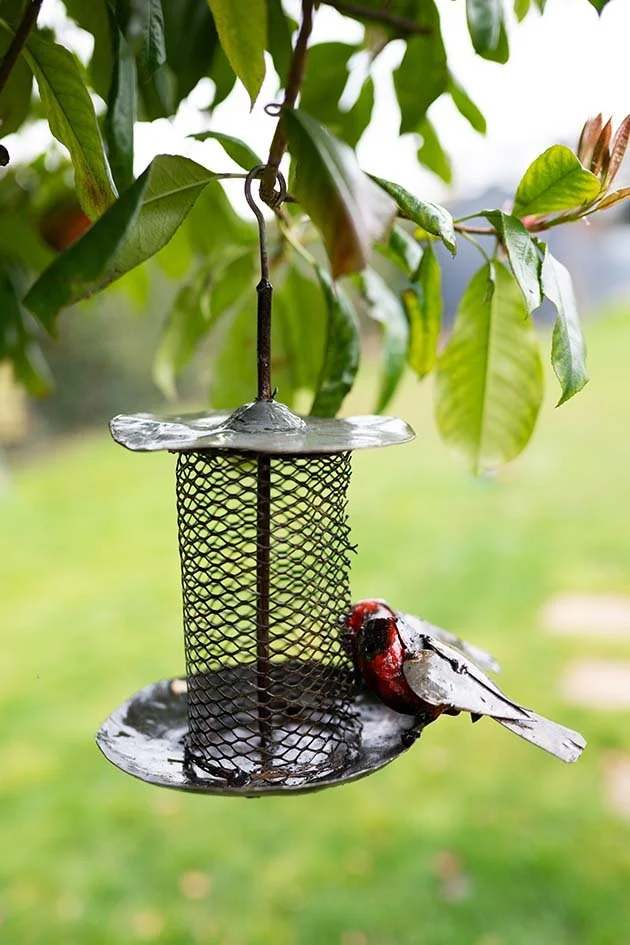 Mesh Bird Feeder — Chi-Africa