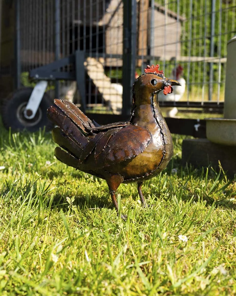 Chicken
