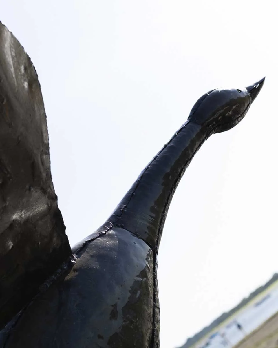 flyinggoose_LR3.jpg