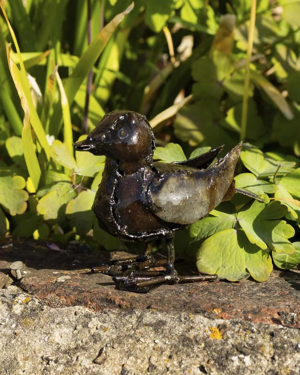 Mini Brown Duckling