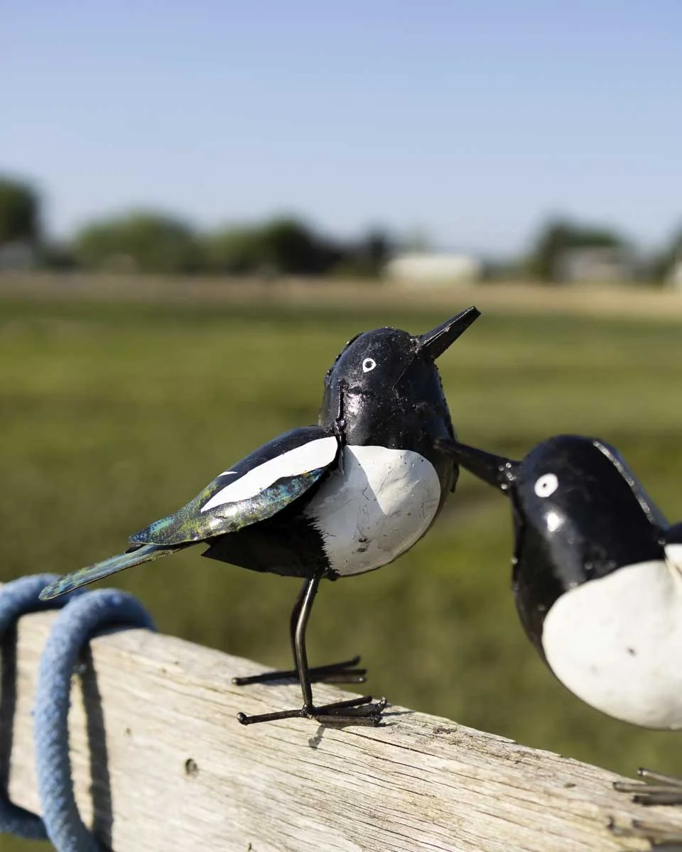 close up of pair of magpies black and white garden ornaments positioned on a signpost