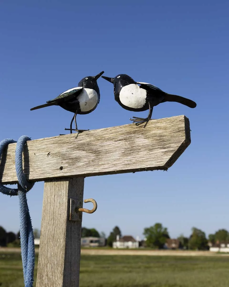 close up of pair of magpies black and white garden ornaments positioned on a signpost with blue sky