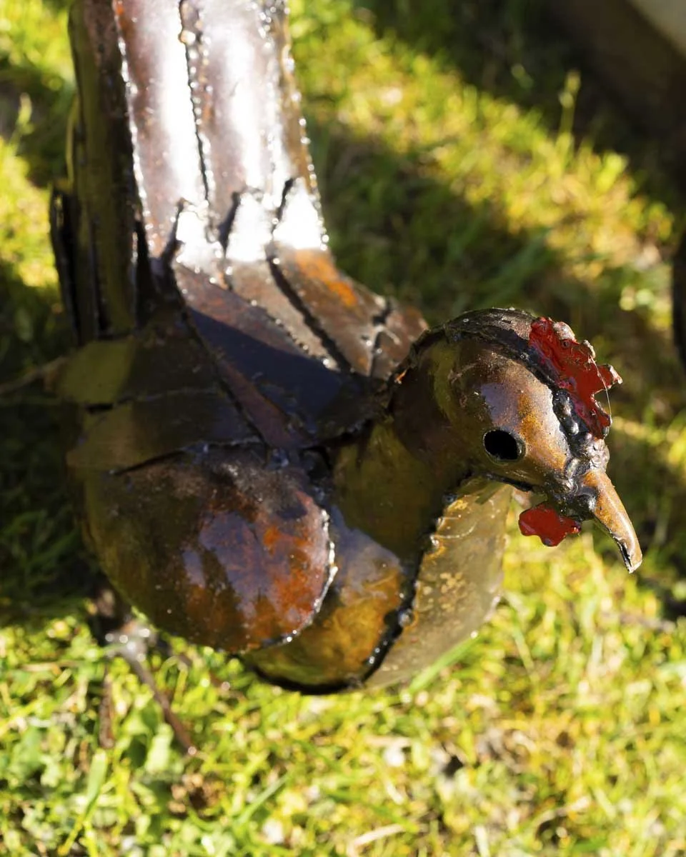 chickencockerel_LR3.jpg