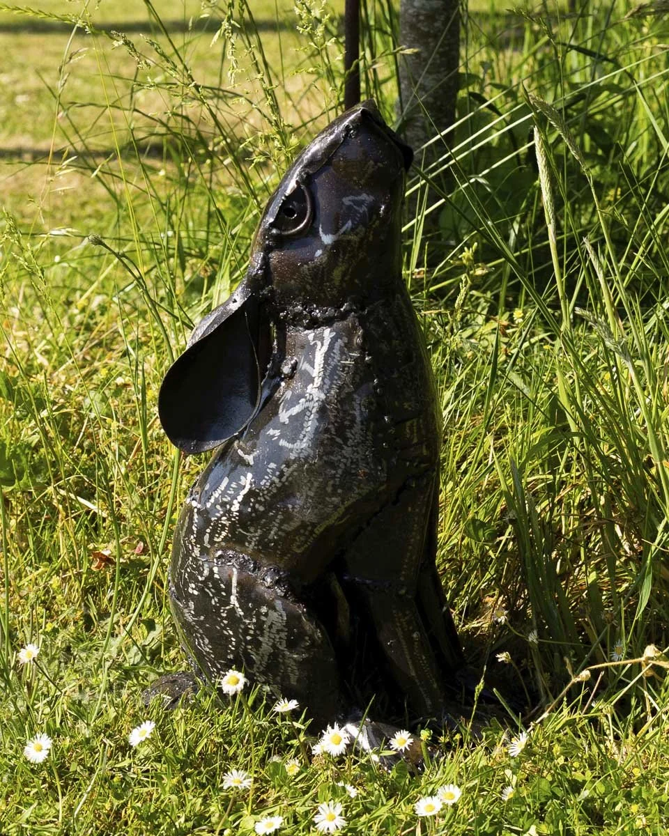 rabbitlookingup_LR1.jpg