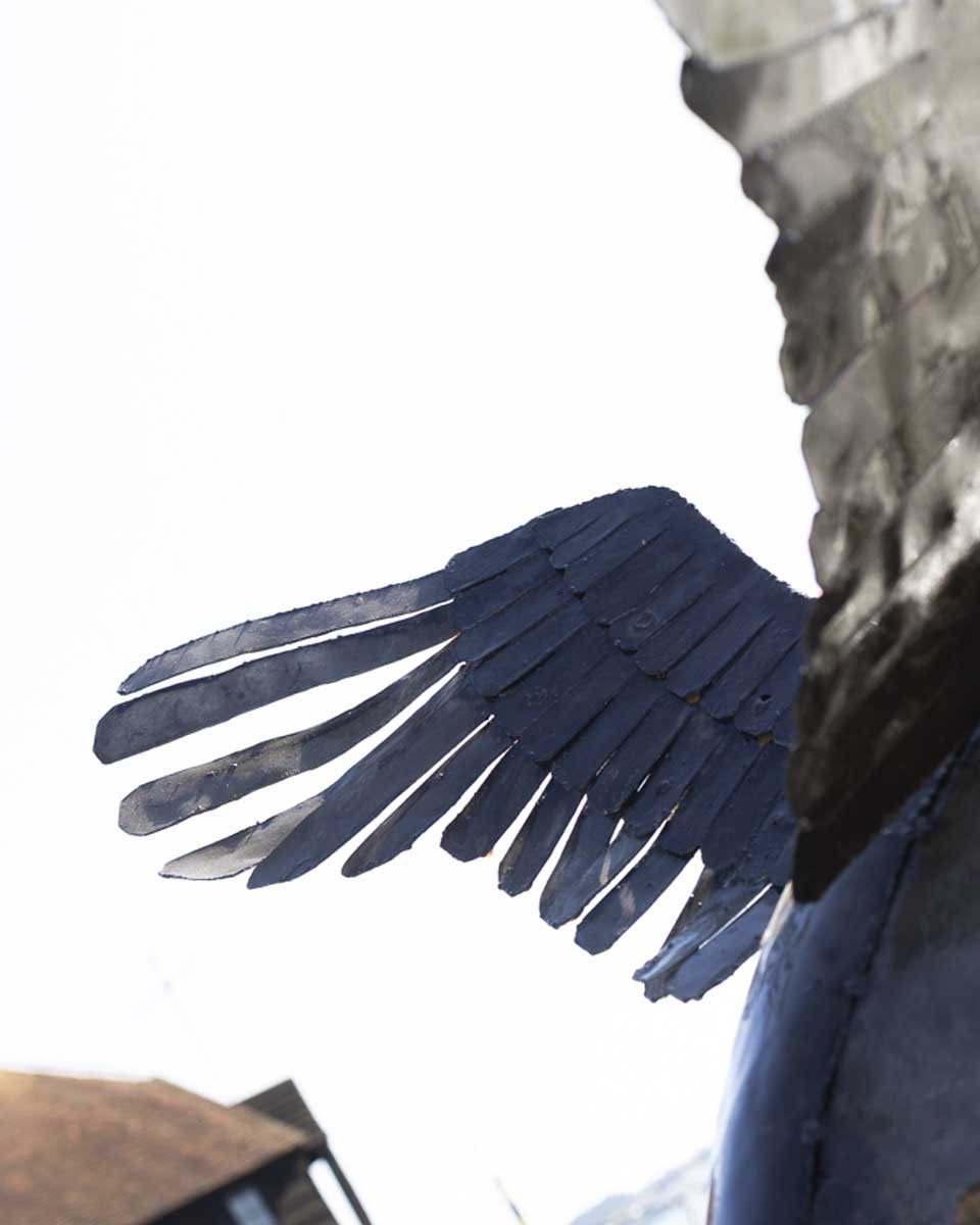 flyinggoose_LR5.jpg