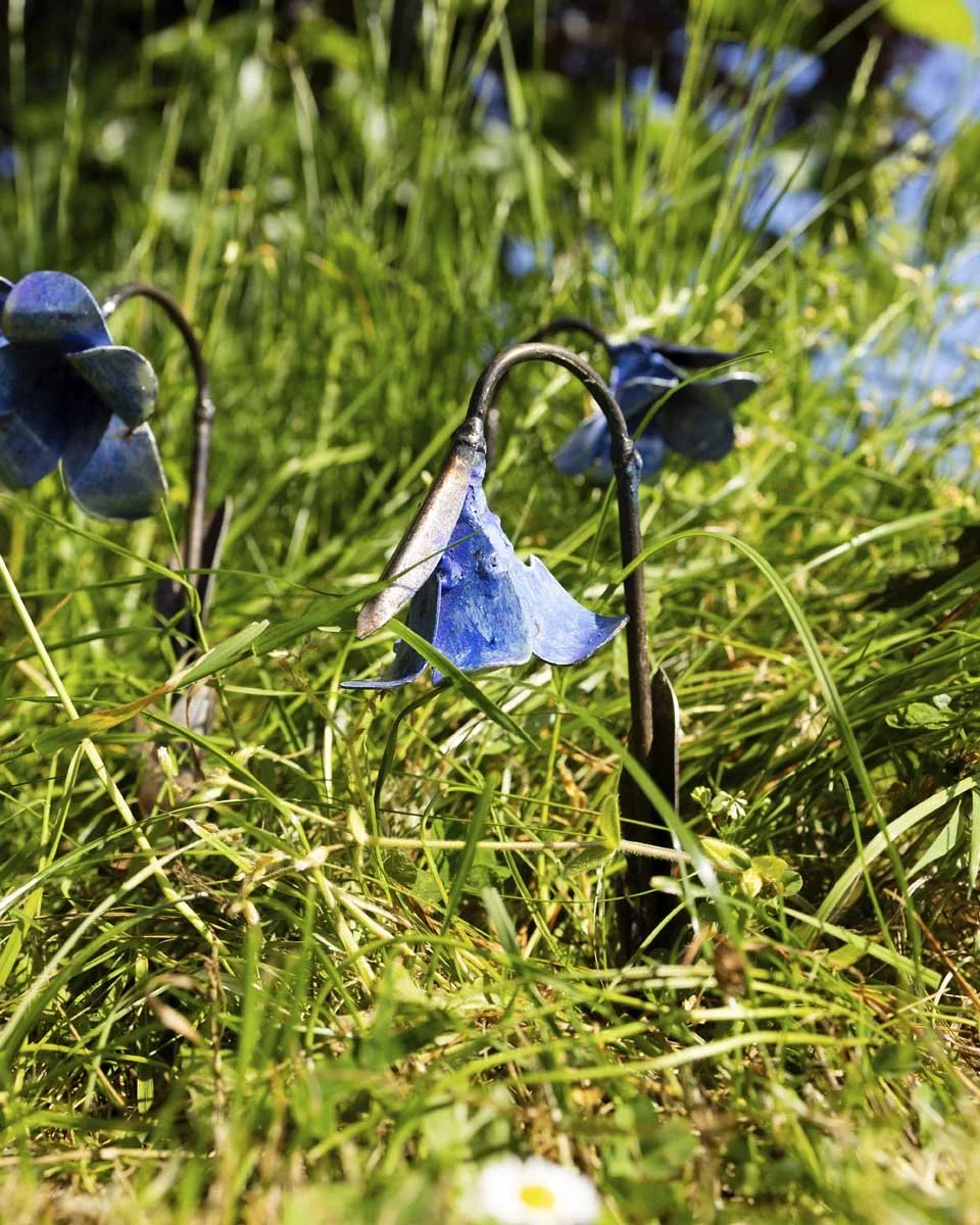 minibluebells_LR2.jpg