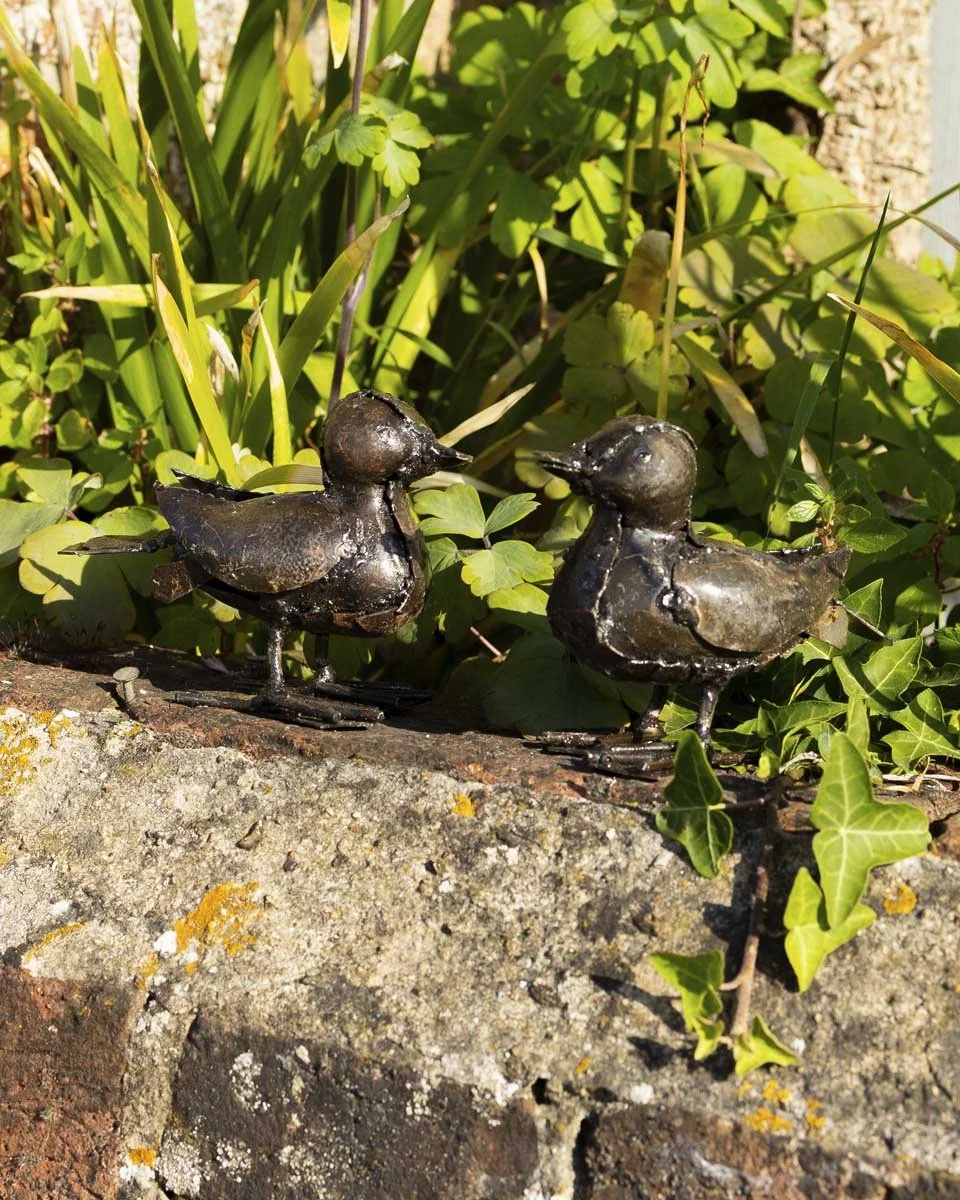 minibrownduckling_LR2.jpg