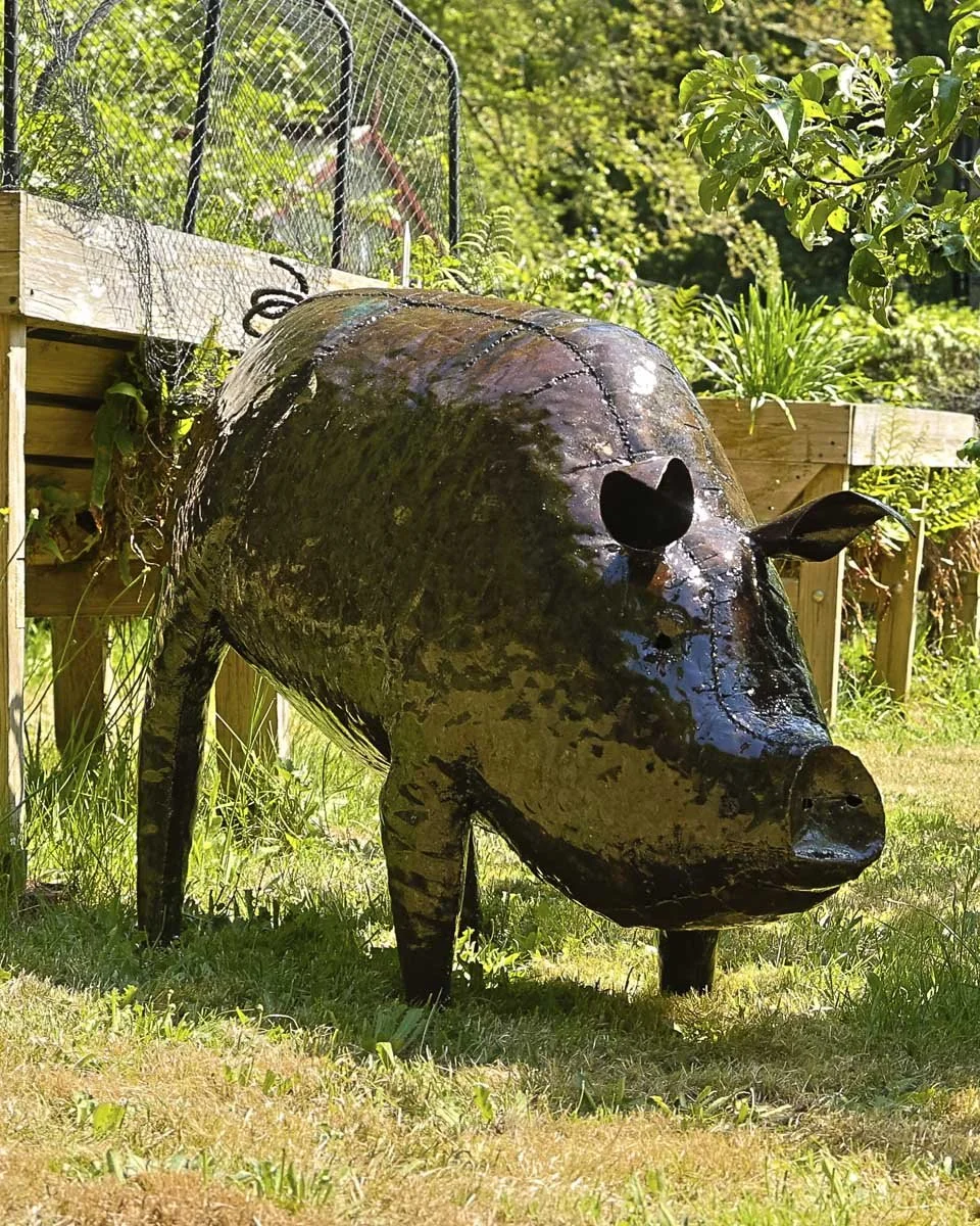 Pig2_large_LR2.jpg