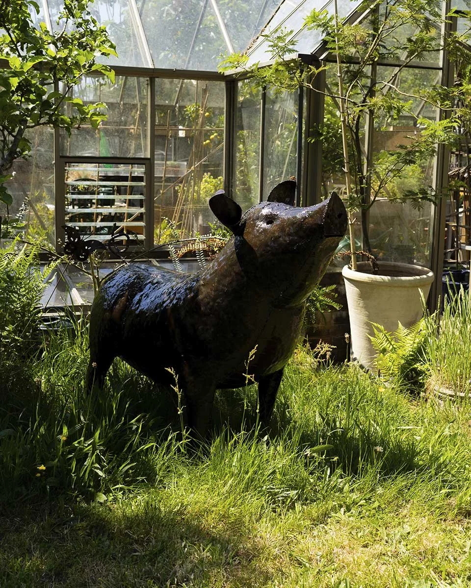 Pig_large_LR1.jpg