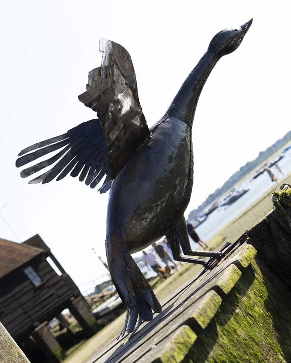 flyinggoose_LR2.jpg