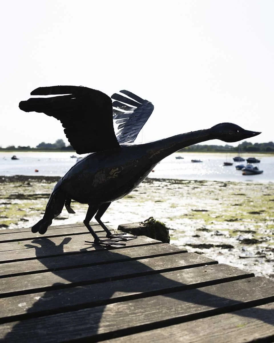 flyinggoose_LR4.jpg