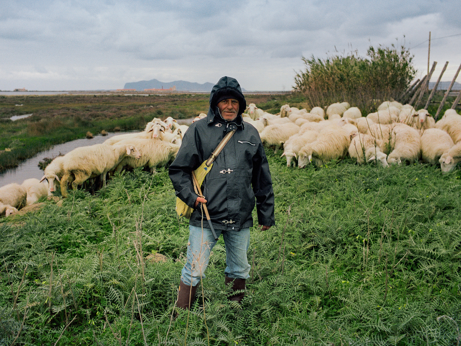   Giovanni the shepherd,  Piscitello, 2019  