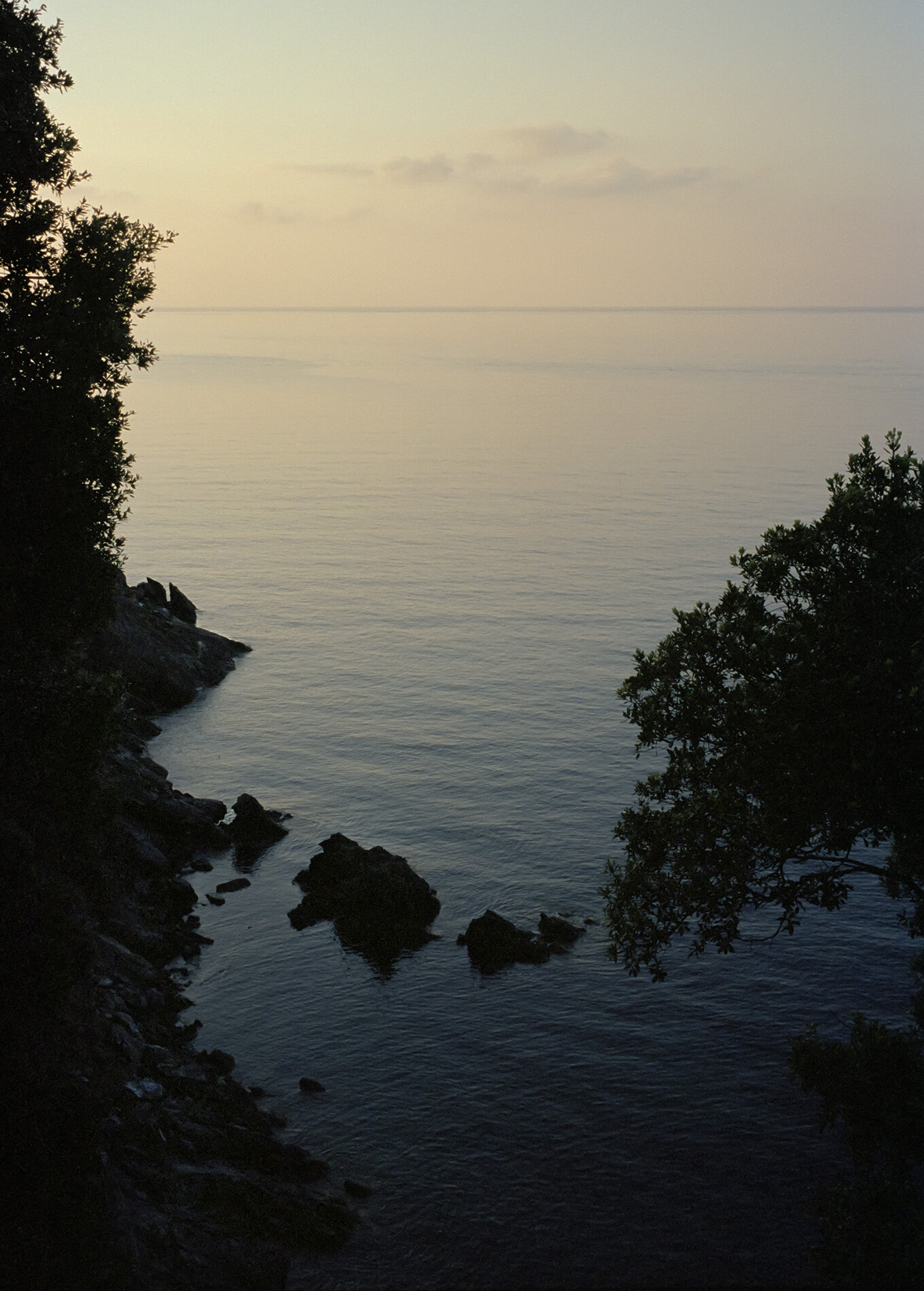   “Come la figlia del mattin, la bella, dalle dita di rose Aurora surse”. Elba Island, Italy, 2011  