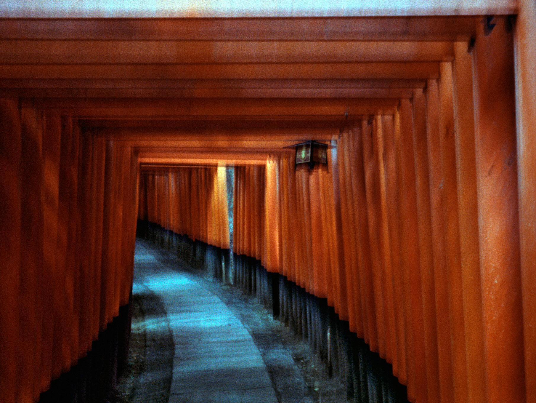   Fushimi Inari Shrine,  Fushimi, 2015  