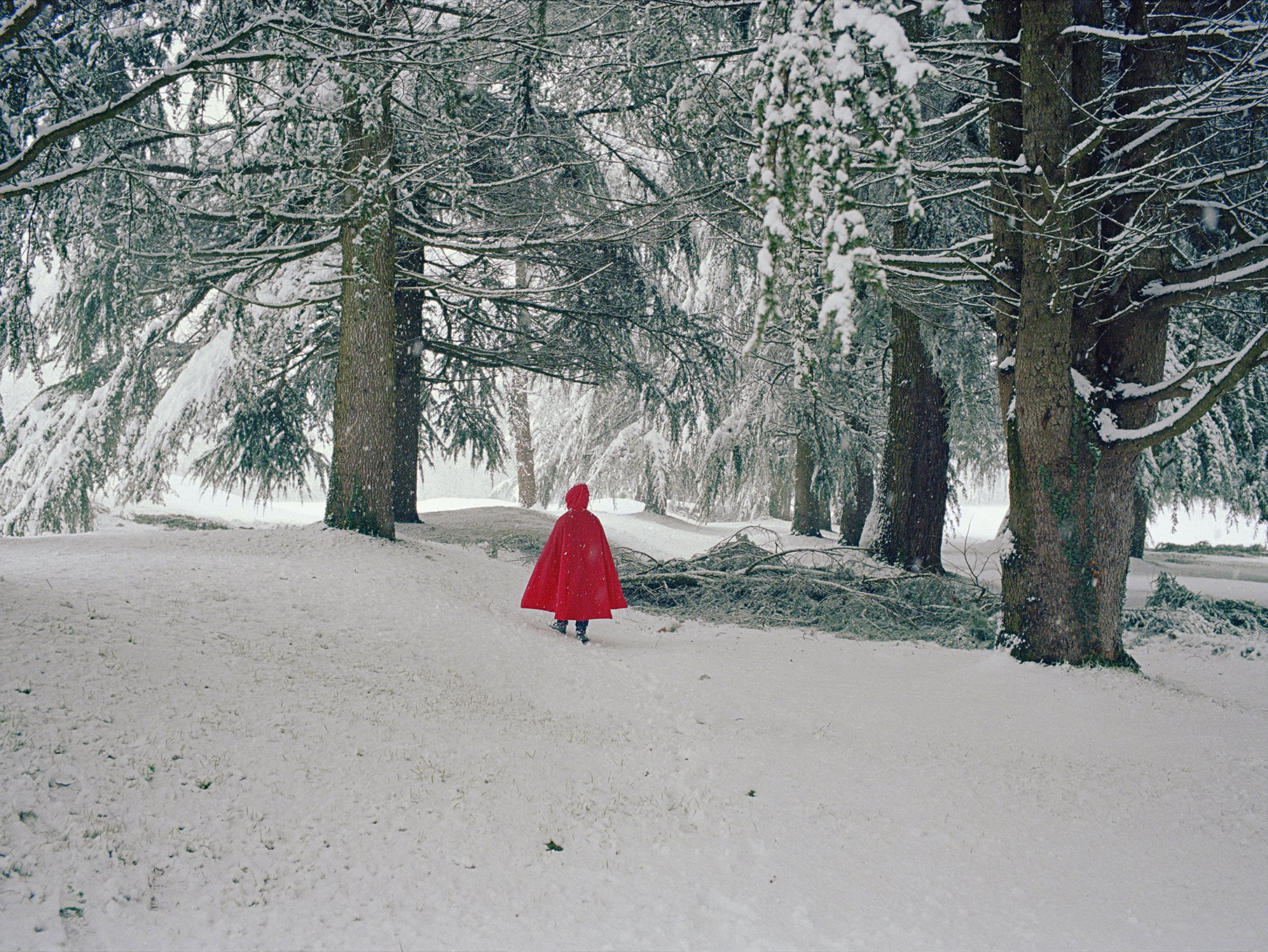   Little Red Riding Hood,  December 2020  