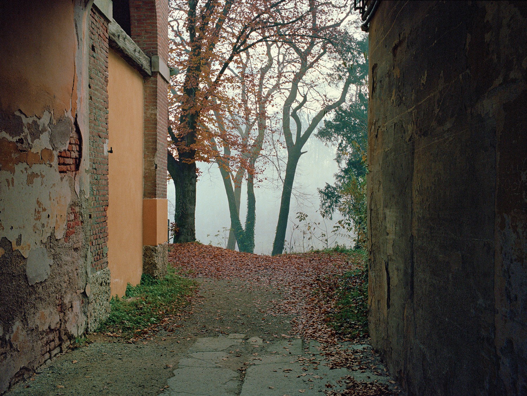   Autumn view from the porch  near Villa Mirabello, November 2020  