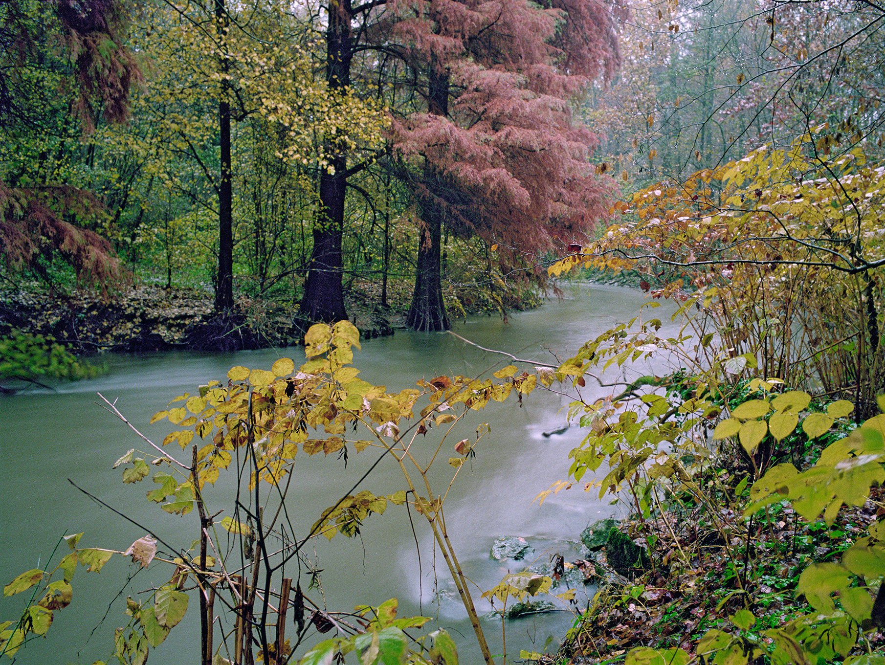   Autumn palette on the banks of Lambro river, late November 2021  