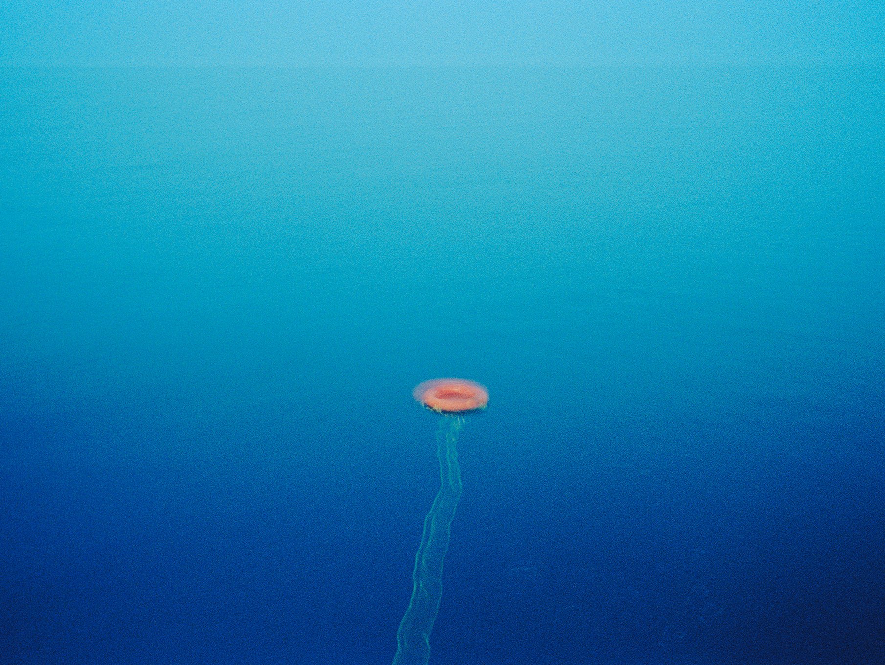   Life buoy,  Marsa Alam, Egypt, 2009  