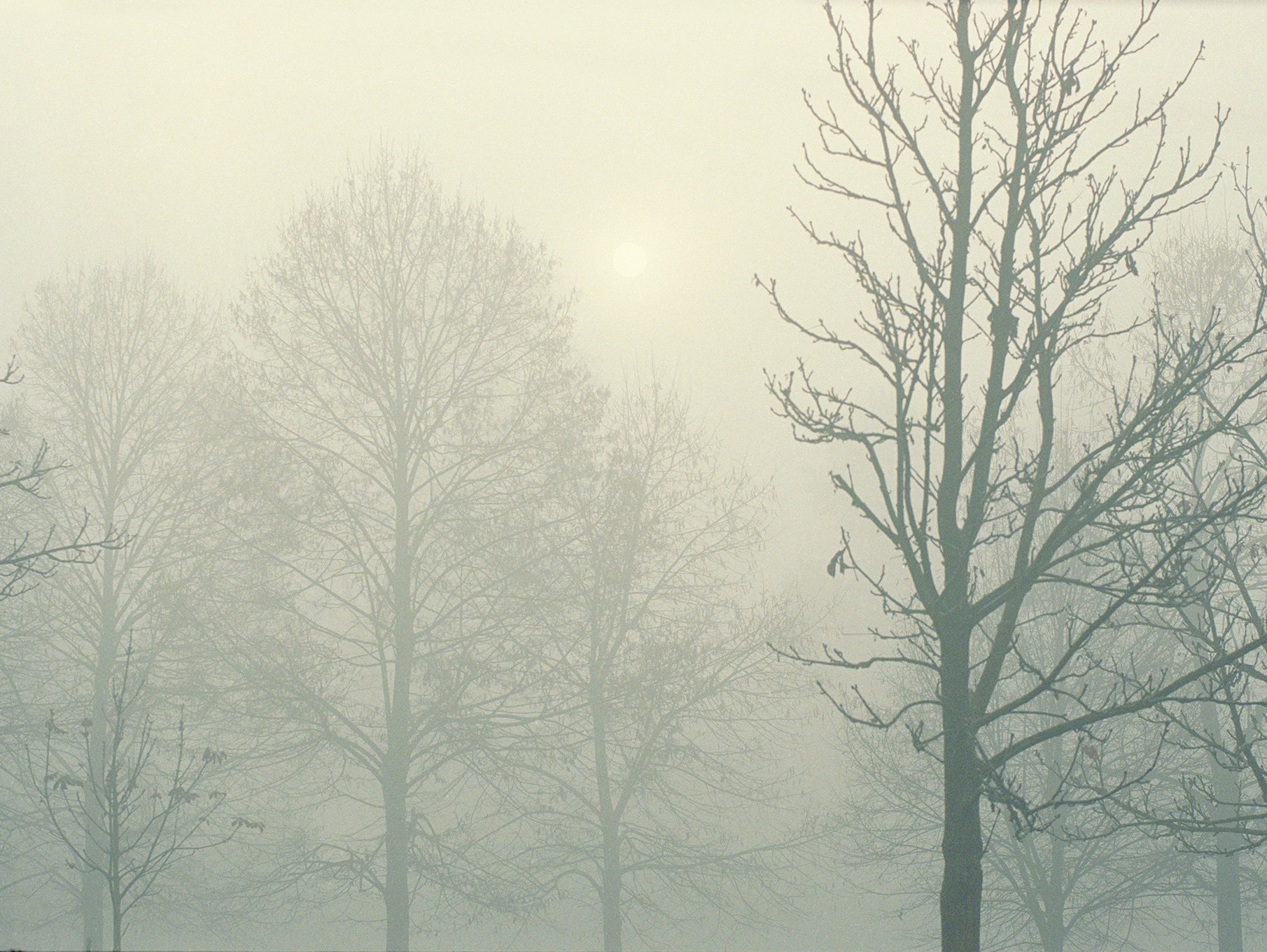   Morning mist, November 2019  