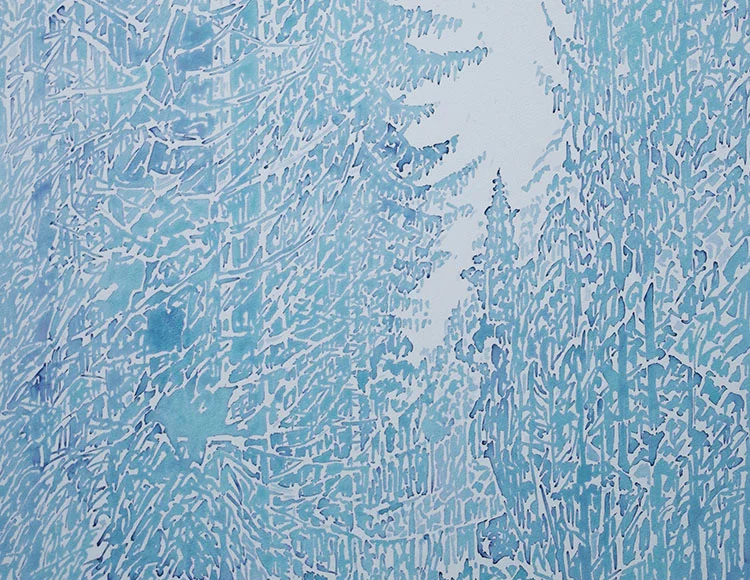 Futaie de Sapins - Détail
