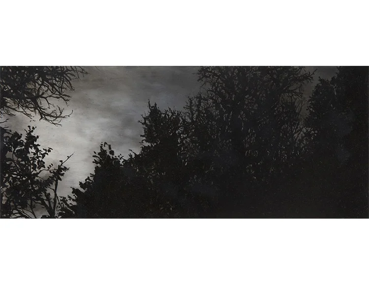 Paysage