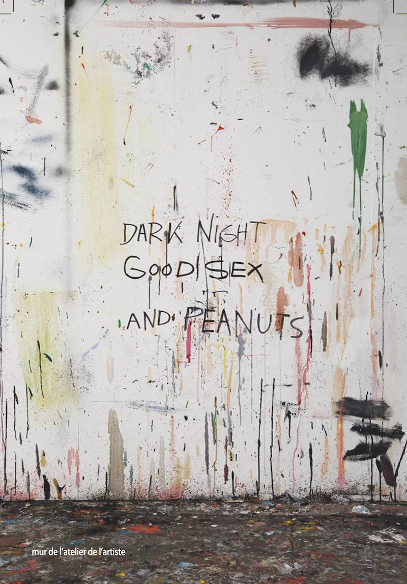 Galerie_Exit_art_contemporain_Dark_Night_Good_Sex_and_Peanuts_Katrin_Bremermann.jpg