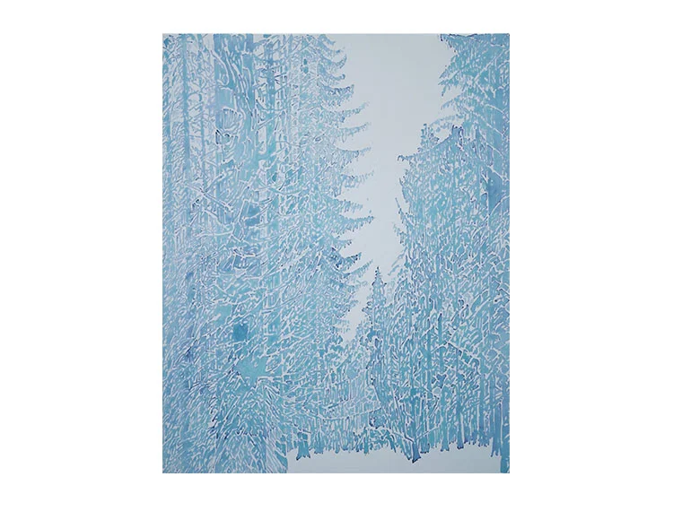 Futaie de Sapins