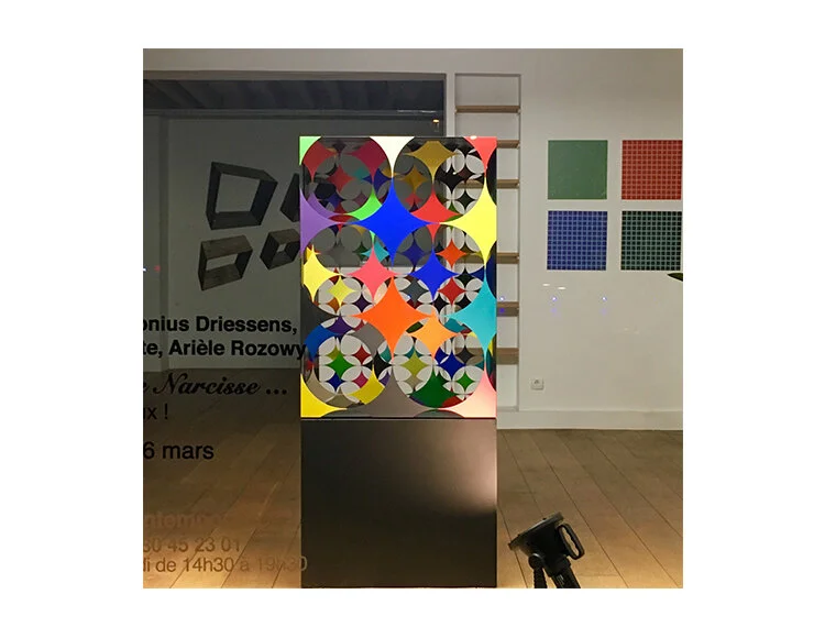 Dans le Reflet de Narcisse - Galerie Exit art contemporain