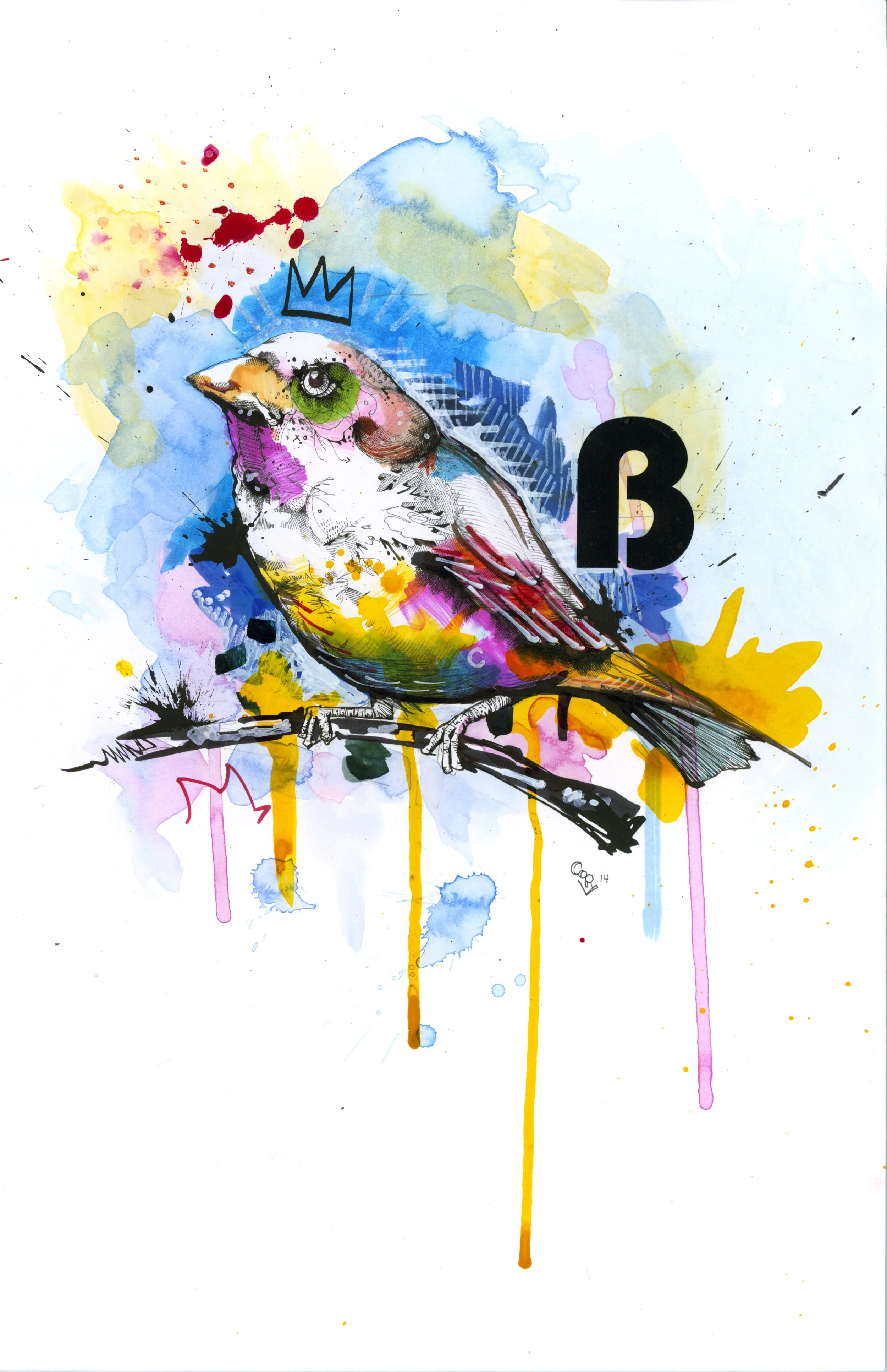 B is for Bird