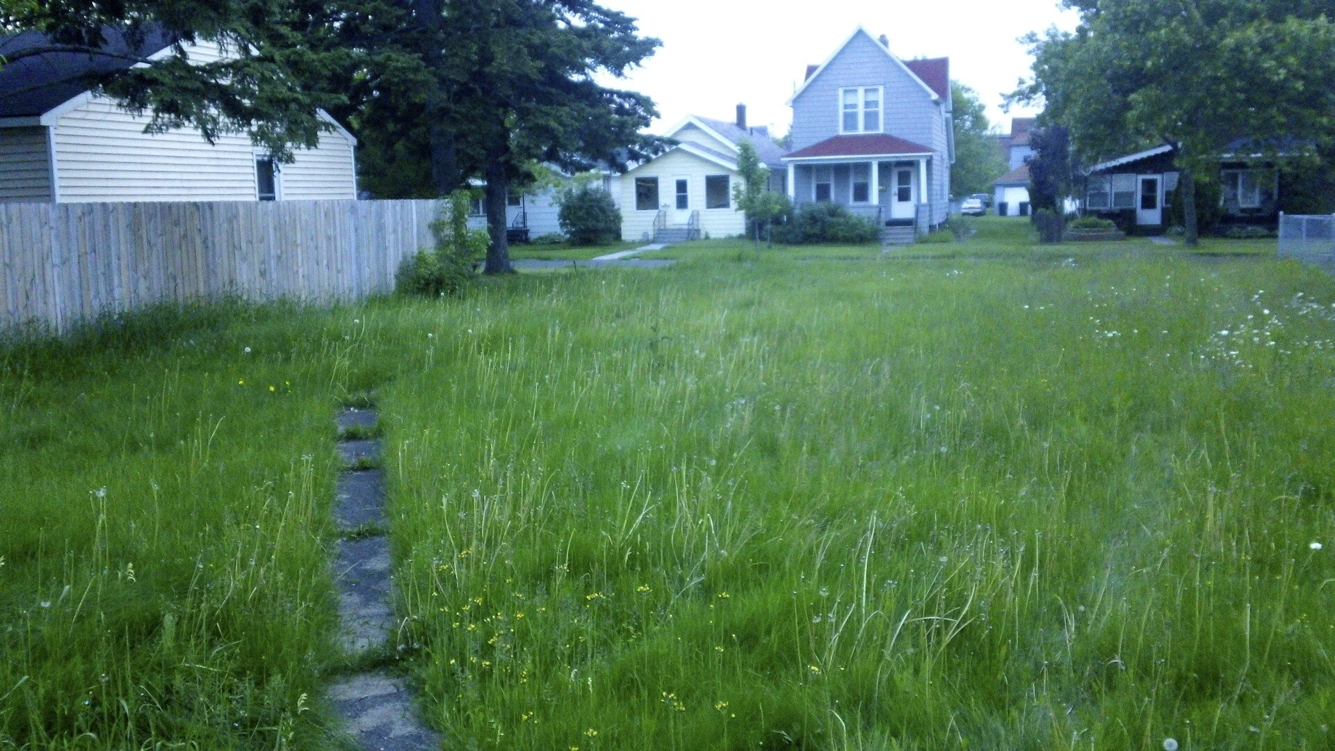 Green House Landscaping Phase 1