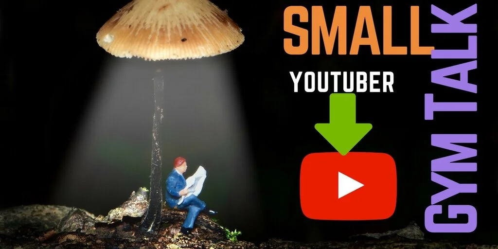 My Response To Small YouTuber tag!