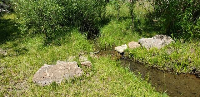 217-5009 after #5 willow clumps grade control.jpg