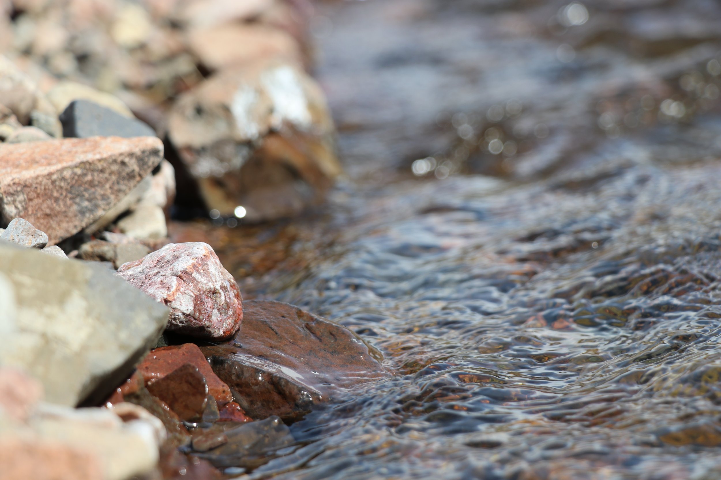 November 2025 Board Meeting