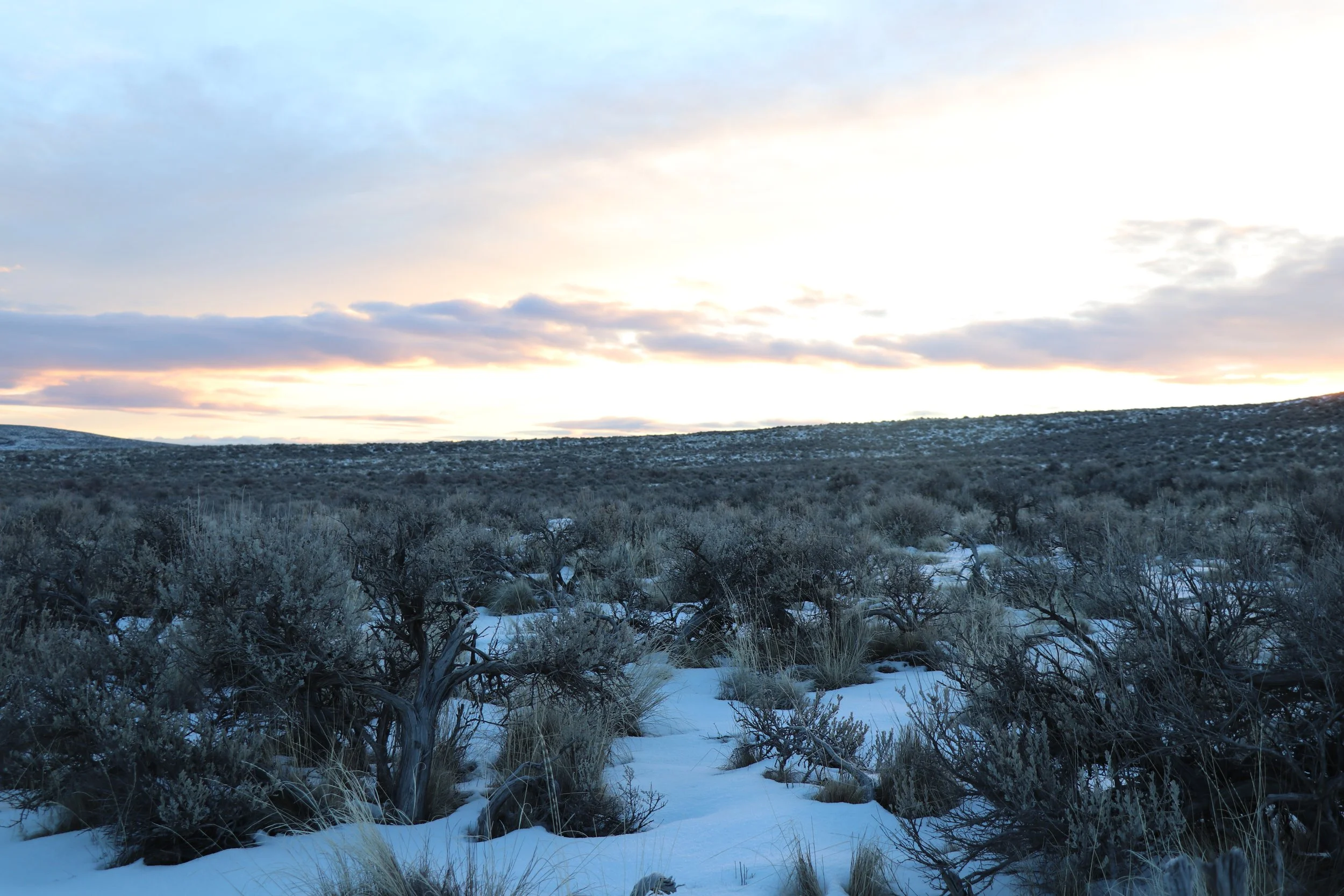 January 2026 Board Meeting 