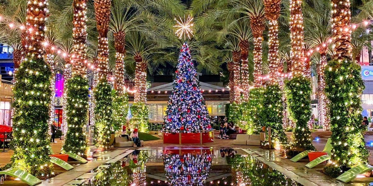 Festive Fun in the Valley: Your Guide to Holiday Magic