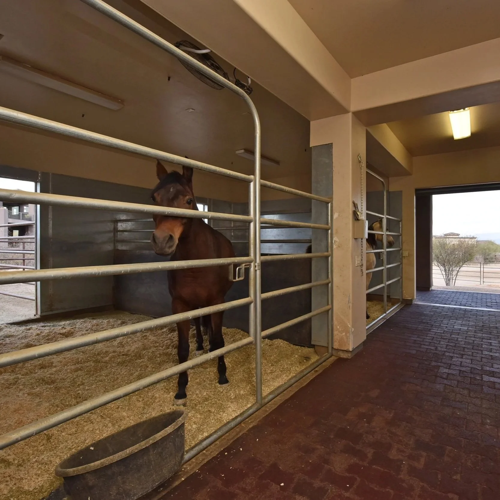 010+Horse+Stalls+1.jpg