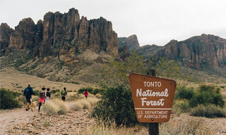 Discover-the-Wonders-of-Tonto-National-Forest.jpg