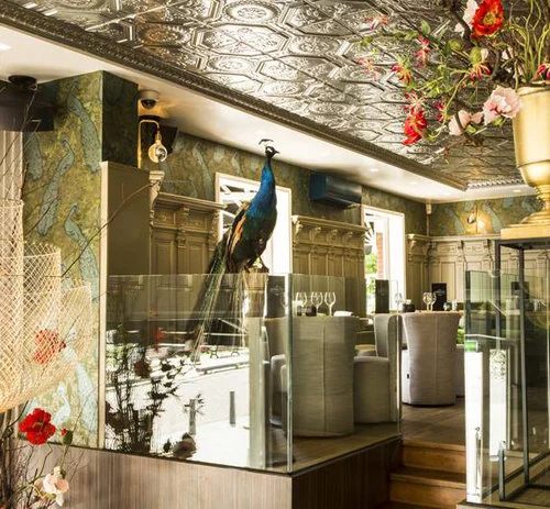 commercial-restaurant12800x800.jpg