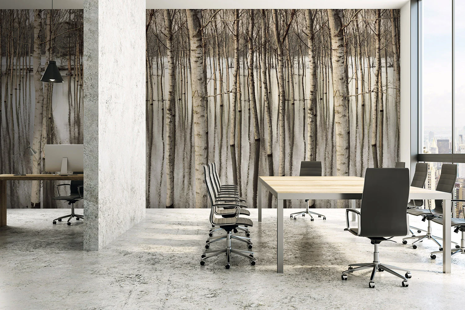 Gravity Digital Walls - Birch Trees - Afternoon Glow
