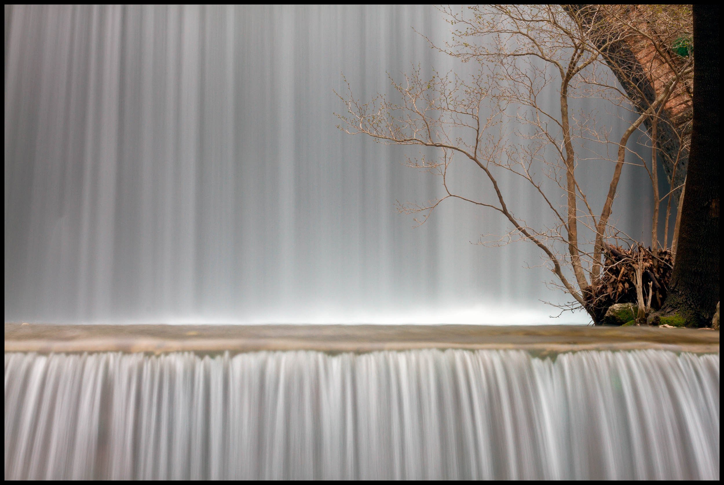 NDB_Naked tree in front of the waterfall.jpg