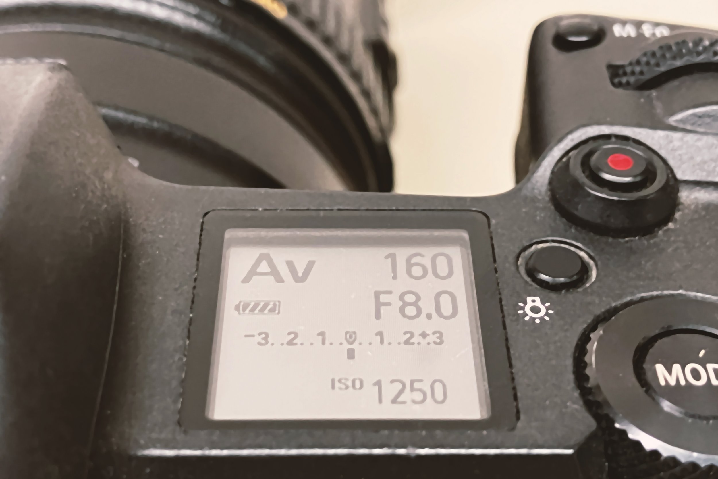 EOS_R_Review_007.jpeg