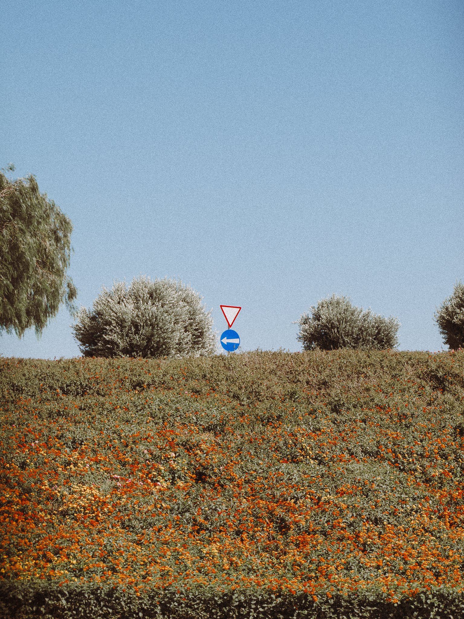 © Nick Boutsikos_Throwback Cyprus-30.jpg