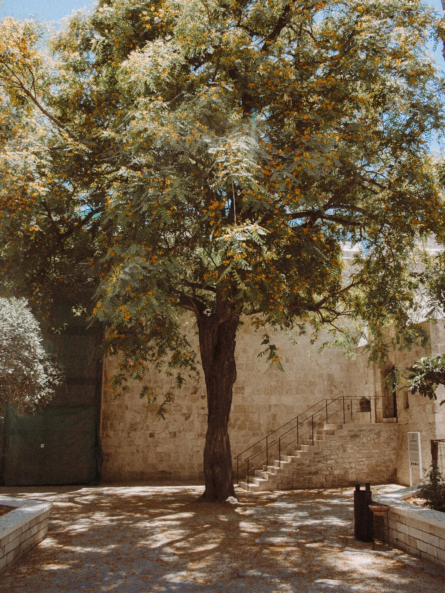 © Nick Boutsikos_Throwback Cyprus-36.jpg
